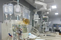 Điều trị sán chó uống cảm cúm, người bệnh suy gan cấp, nhiễm trùng huyết