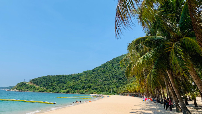 Bãi Ông ở Cù Lao Chàm có bờ thoải khá an toàn, nước trong xanh vắt nhìn thấy tận đáy. Cây ngô đồng được xem như là một biểu tượng của Cù Lào Chàm. Cuối hạ đầu thu là thời điểm hoa ngô đồng ở Cù Lao Chàm nở rộ, thu hút du khách thập phương đến chiêm ngưỡng.