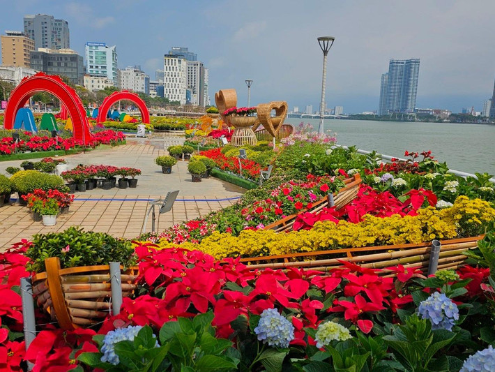 Dịp Tết Nguyên đán Giáp Thìn 2024, UBND TP Đà Nẵng đầu tư gần 20 tỷ đồng trang trí hoa và điện chiếu sáng.