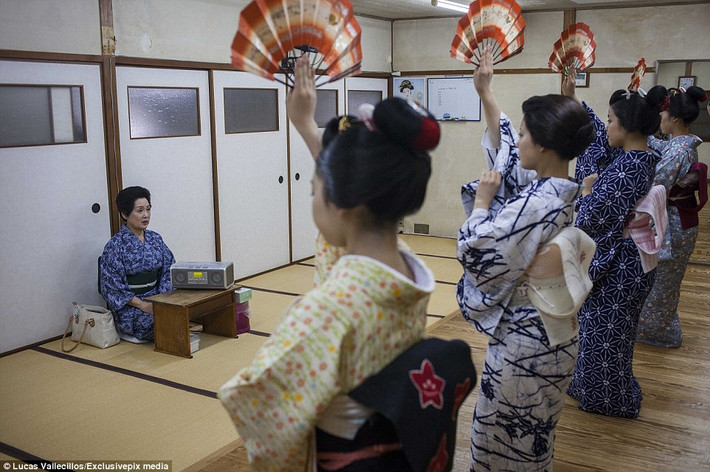 Các geisha tập sự đang học múa quạt, điệu múa truyền thống ở Nhật Bản.