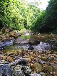 Trước đây, nhiều người dân trong làng từng đồn đại, suy đoán về dòng suối này, cho rằng nó có liên quan đến hiện tượng siêu nhiên hay thần thánh nào đó. Tuy nhiên, khi thông tin về "dòng suối nhút nhát" trở nên nổi tiếng, các chuyên gia địa chất đã tới tận nơi kiểm tra và đưa ra câu trả lời.