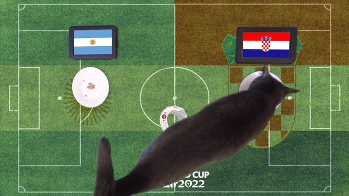 Trước trận bán kết giữa Argentina vs Croatia, nhà tiên tri động vật là thần rùa trổ tài dự đoán bóng đá với kết quả cuối cùng chiến thắng thuộc về đội tuyển Argentina. Trong khi đó, mèo tiên tri dự đoán chiến thắng thuộc về Croatia.