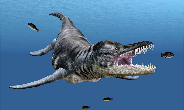 Thậm chí, một số khác còn tuyên bố đó là "liopleurodon", một loài săn mồi biển hiện đã tuyệt chủng lang thang trên biển trong kỷ Jura hàng trăm triệu năm trước.