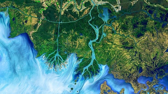 Ảnh ấn tượng về đồng bằng Atchafalaya ở Louisiana, Mỹ. Hình ảnh đã được chỉnh màu để nhấn mạnh sự khác biệt giữa đất và nước.