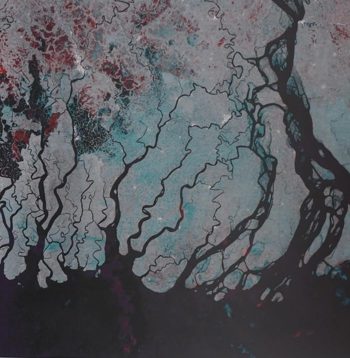 Sundarbans, Bangladesh - Ấn Độ là khu rừng ngập mặn lớn nhất thế giới.