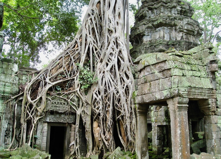 8. Sử dụng ban đầu: Do hướng về phía tây, một số người cho rằng kiến trúc tôn giáo Angkor Wat ban đầu có thể được sử dụng cho tang lễ hoặc là khu vực lăng mộ hoàng gia.