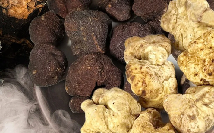 Nấm truffle được ví như "kim cương đen" của thực phẩm, không chỉ về giá trị mà còn về hương vị thơm ngon đặc trưng của nó.