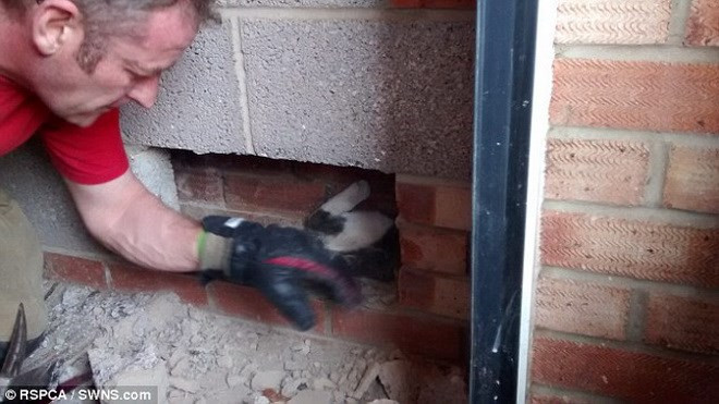 Chú ta bị mắc kẹt ở đây đã 2 tiếng.