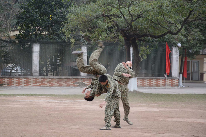 Biểu diễn võ thuật.