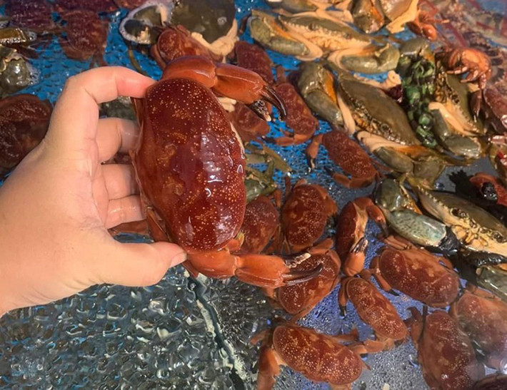 Cù kỳ còn có tên gọi khác là cua cù kỳ, cùm cùm hay cua đá, một loại cua biển có hai càng rất to, chân có nhiều lông, thịt săn chắc và rất thơm ngon.