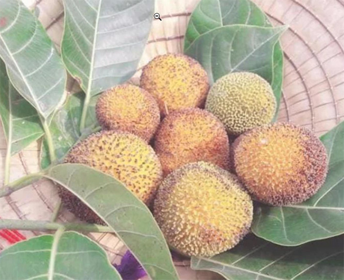 Lúc quả xanh, gáo có vị hơi chát nhưng khi chín ăn có vị chua chua ngọt ngọt đặc trưng.