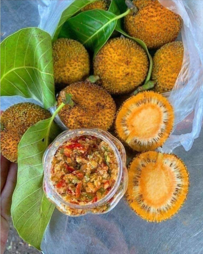 Gáo có thể ăn sống, chấm với muối ớt, là món ăn vặt nhiều chị em ưa chuộng.