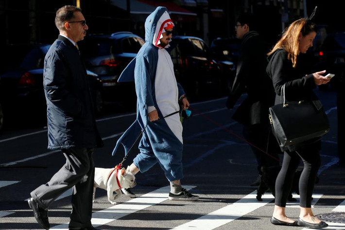Người đàn ông hóa trang thành một con cá mập dắt chó cưng trên đường phố ở Hạ Manhattan, New York. Ảnh Reuters