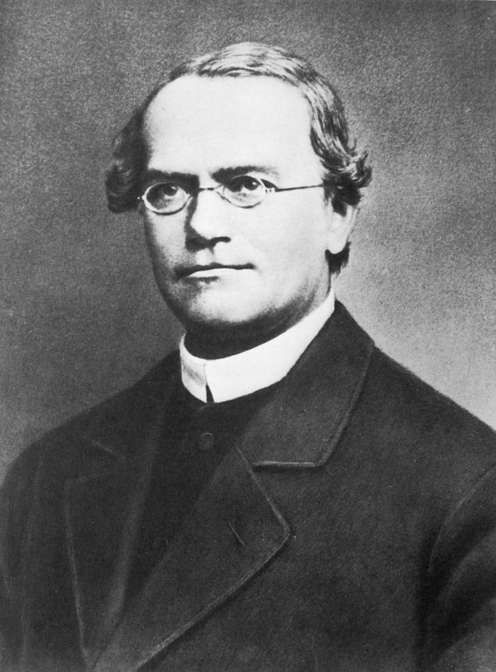 Gregor Johann Mendel sinh ngày 22/7/1822, tại vùng Moravia, đế quốc Áo (nay là Cộng hòa Séc), trong một gia đình nông dân nghèo. Ngay từ nhỏ, ông luôn hứng thú chăm sóc cây cối trong vườn.
