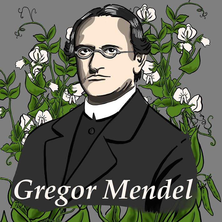 Nhân sinh nhật lần thứ 200 của Gregor Mendel - cha đẻ ngành di truyền học, các nhà nghiên cứu Đại học Masaryk ở Ukraine, Tu viện Augustinian và các tổ chức khác vào năm 2022 đã quyết định khai quật hài cốt ông.