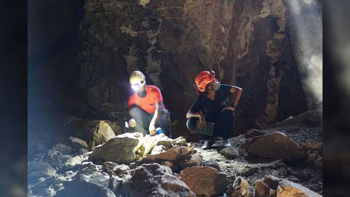 Theo Tiến sĩ nhân chủng học John Hawks nhận định, việc tìm thấy các hài cốt của người Naledi bao gồm cả người lớn và trẻ em trong hang động cho thấy họ đã sống như một quần thể. Cuộc sống của vẫn còn khá nhiều bí ẩn chờ đợi giới khoa học đi tìm lời giải.
