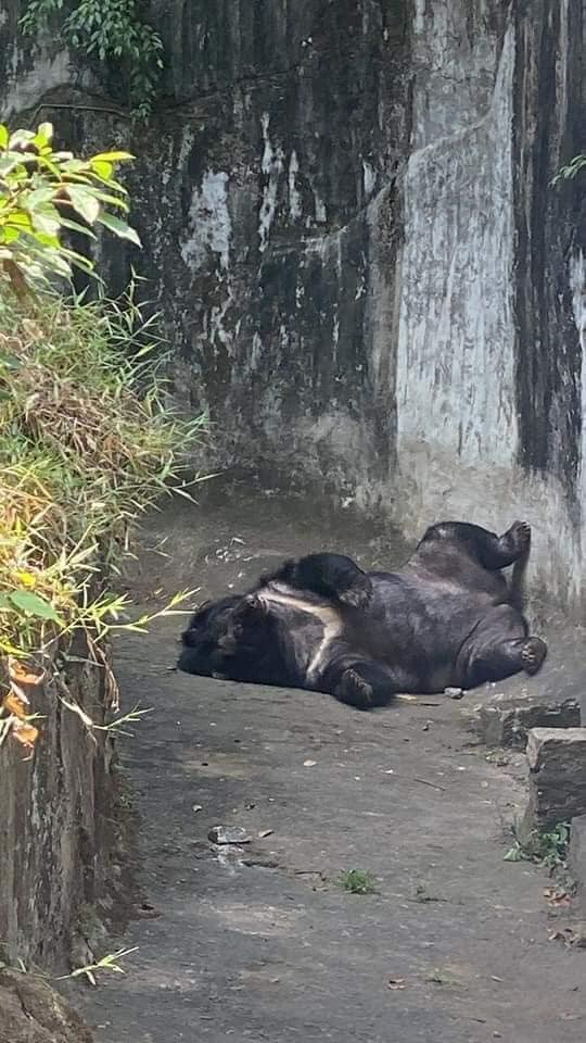 Ngay sau khi những hình ảnh này được đăng tải đã thu hút sự chú ý của rất nhiều người.