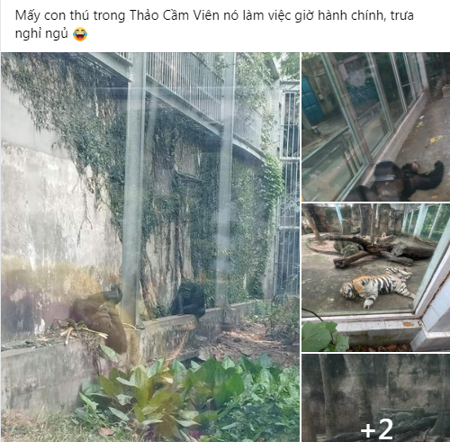 Một trong những địa điểm thu hút du lịch trong thời gian vừa qua có thể kể đến Thảo Cầm Viên Sài Gòn. Đây là vườn thú lâu đời nhất TP HCM.
