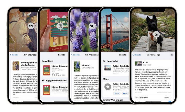 Trong iOS 16, để tách chủ thể khỏi bức ảnh, người dùng chỉ cần mở ảnh trong Photos, chạm ngón tay và kéo thả vào ứng dụng khác, chẳng hạn như Tin nhắn.