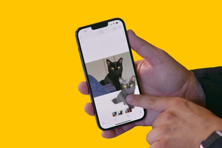 Theo nguồn tin của Bloomberg, bản cập nhật phần mềm iOS 17 sắp tới dành cho iPhone có thể đi kèm tính năng Visual Look Up.