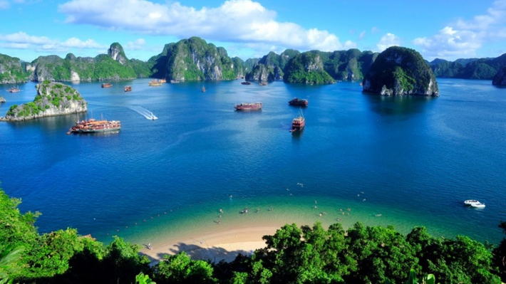 Vịnh Lan Hạ cũng nổi tiếng với hệ sinh thái đa dạng và đặc trưng. Du khách có thể tham gia vào các chuyến tham quan thuyền để khám phá hệ sinh thái biển, ngắm san hô, đảo và thảm thực vật biển phong phú. Điều này tạo ra một trải nghiệm du lịch tự nhiên độc đáo và thu hút người yêu thiên nhiên.