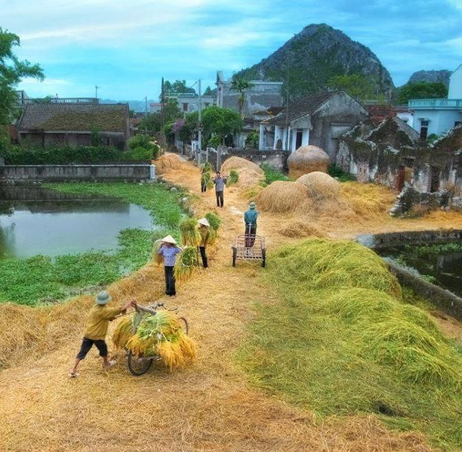 Hội ngày mùa. Ảnh: Hanoispanorama skylinegallery.