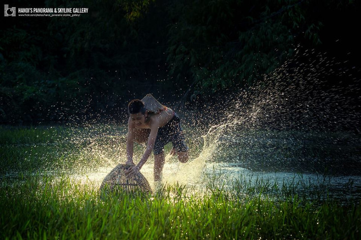 Úp cá bằng nơm vẫn là một trò nghịch dân dã của trẻ em thôn quê dù bây giờ cái ăn không còn thiếu thốn như trước nữa. Ảnh: Hanoispanorama skylinegallery.