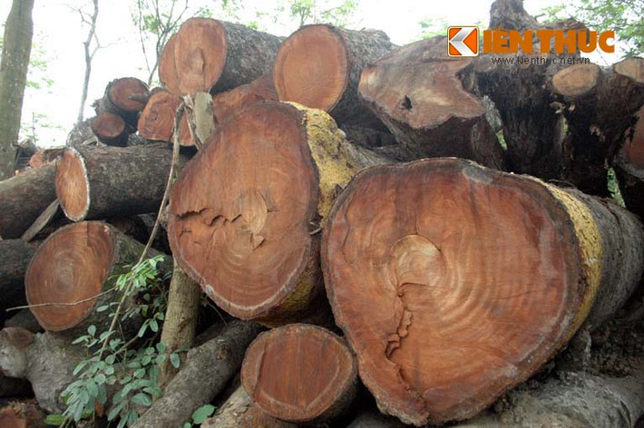 ... và đang chờ bán đấu giá.