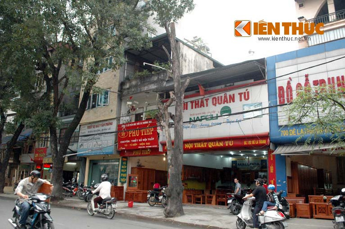 Nhiều người dân cho biết, họ muốn trưng cầu ý kiến những cây đang sống chứ không phải cây đã chết. "Có vị lãnh đạo TP còn nói chặt cây cần gì phải hỏi dân thì cây chết trưng cầu làm gì, nên chặt bỏ càng sớm, càng tốt. Đừng thấy dư luận phản ánh mà làm một cách máy móc như vậy chỉ khiến người ta buồn cười", một người dân sống trên đường Đê La Thành nói.