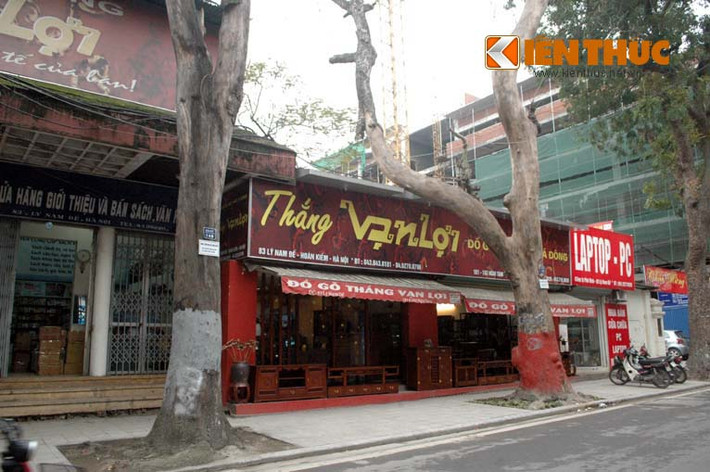 Người dân cho biết, đoạn cạnh ngã ba Lý Nam Đế -Trần Phú có 2 cây xà cứ chết gần 2 năm nay, nhưng không thấy đơn vị quản lý đến chặt hạ.
