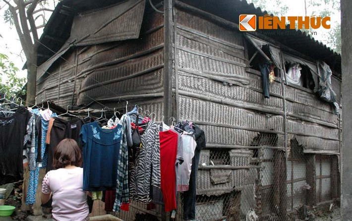 Một số căn phòng trọ được dựng lên từ khá lâu cạnh chợ Long Biên đang hàng ngày mang nhiều mơ ước của những người nghèo xa quê, lên Thủ đô mưa sinh. Với những người thuê trọ ở đây, ước mơ lớn nhất là mỗi tối có người thuê làm, bệnh tật không gõ cửa gia đình họ...