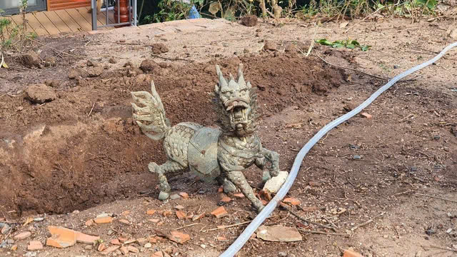 Một con nghê được đào trong khuôn viên "tịnh thất" của vợ chồng Tuấn.
