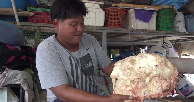 Ban đầu nghĩ rằng đó chỉ là một khối đá trắng, anh đã mang về nhà và kiểm tra, phát hiện nó thực sự là long diên hương - báu vật của biển. Khối long diên hương này được ước tính trị giá 230.000 USD (khoảng 5,7 tỷ đồng).