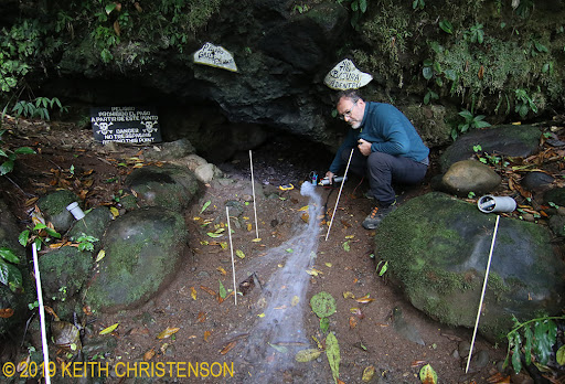 Tương tự, ở Costa Rica, một hang động mang một vẻ ngoài vô hại nhưng thực tế lại chứa đầy khí carbon dioxide (CO2) độc hại. Bất kỳ sinh vật nào bước vào hang đều có nguy cơ tử vong ngay lập tức do sự thiếu hụt oxy và nồng độ CO2 cao. (Ảnh: tropicalbats)