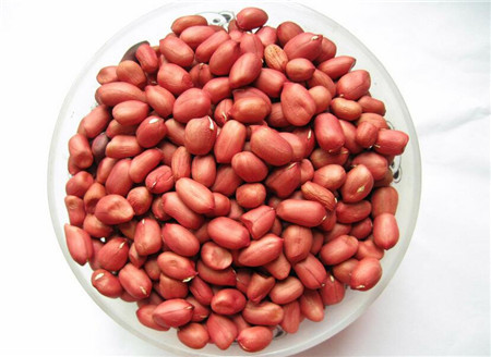 Đun nước lạc nhân để bảo vệ cổ họng, trị mất tiếng. Lấy 80 g lạc nhân đỏ hầm mềm ăn 1-2 lần một ngày sẽ có tác dụng bảo vệ sự tổn thương của dây thanh quản, trị chứng mất tiếng hiệu quả. Ảnh: qbaobei.