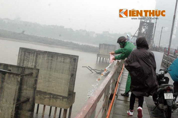 Sáng và trưa nay, tại cầu Long Biên (Hà Nội), nhiều người dân đã mang cá vàng ra thả xuống sông Hồng để tiễn Táo quân về trời.