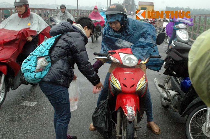 Mỗi khi có người dân mang cá vàng ra sông Hồng thả, nhóm sinh viên tình nguyện này liền chạy lại nhận thả cá hộ và bỏ rác cho họ.