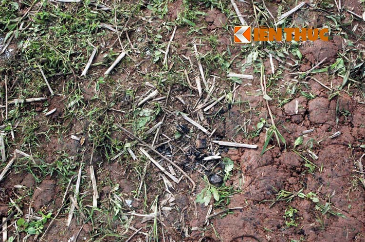 Vết nổ của pháo còn để lại dấu vết trên mặt ruộng.