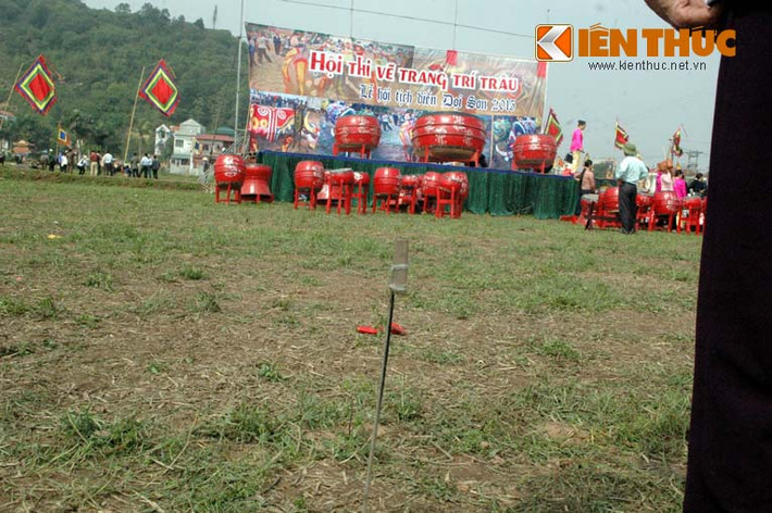 Cây xác pháo hiện diện trước lễ hội cày ruộng khai xuân Tịch điền.