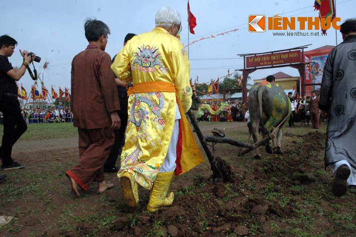 Đường cày của người nhập vai vua luôn thẳng tắp.