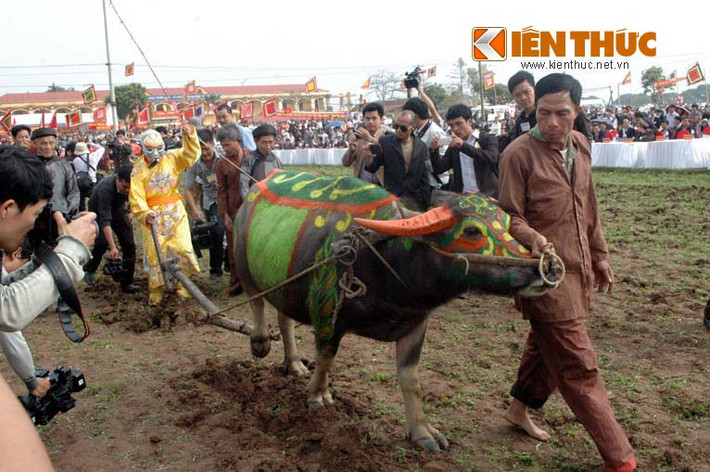 Cụ Tế tiến hành cày ruộng khai xuân lễ hội Tịch điền.