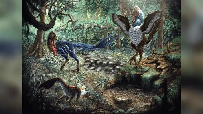 Một loài quái thú mới, được đặt tên là "Eoneophron infernalis" với biệt danh bí hiểm là "con gà bình minh từ địa ngục của pharaoh", vừa được phát hiện thông qua việc mua các mẫu hóa thạch trên mạng bởi Kyle Atkins-Weltman, một nghiên cứu sinh tại Đại học bang Oklahoma.