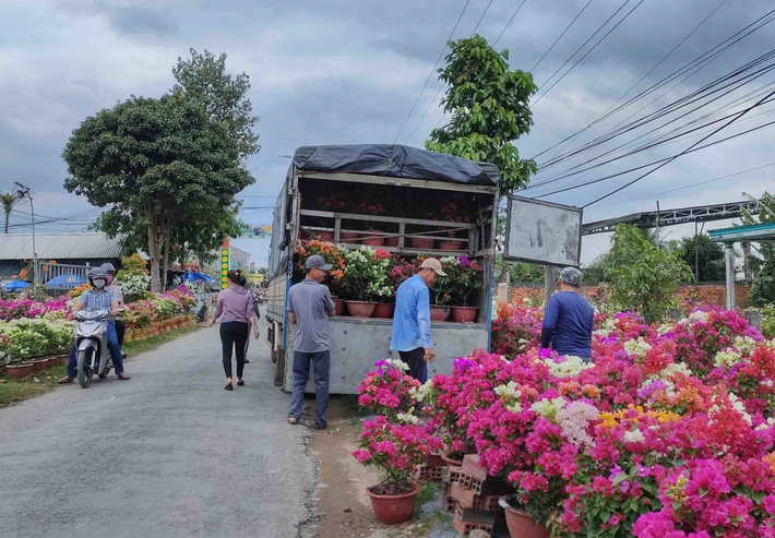 Hoa giấy được vận chuyển bằng xe tải, phục vụ người dân chưng Tết. Ảnh: Đỗ Minh Tân