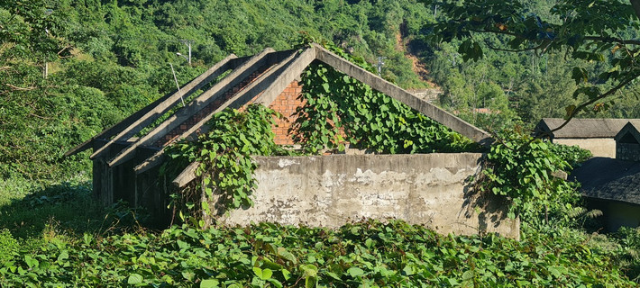 Nhiều hạng mục đang xây dựng dang dở thì tạm dừng, dây leo phủ kín.