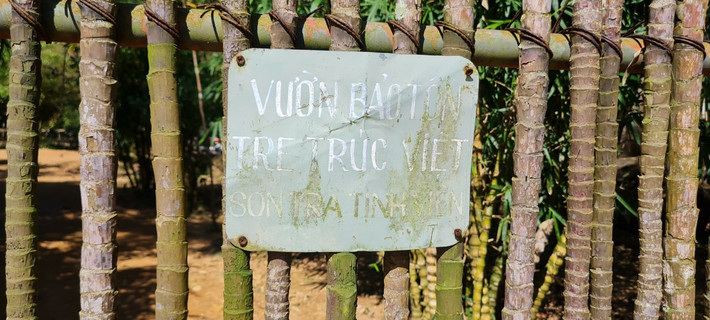 Sơn Trà Tịnh Viên được biết đến là 1 trong 3 khu bảo tồn tre, trúc ở Việt Nam, bên cạnh vườn tre ở Viện Khoa học lâm nghiệp (Phú Thọ) và làng tre Phú An (Bình Dương).
