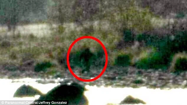Giống như cái tên của mình đã mô tả, Bigfoot thường để lại những dấu chân quá khổ khi lang thang trong những khu vực hẻo lánh ở Canada và vùng duyên hải Thái Bình Dương ở Tây Bắc nước Mỹ.