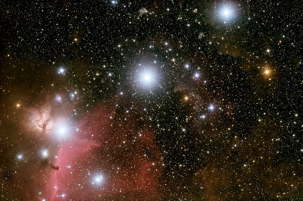 Những ngôi sao sáng nhất của chòm sao này là Rigel và Betelgeuse, vinh dự nằm trong số 10 ngôi sao sáng nhất bầu trời. Cả hai đều là những sao siêu khổng lồ và nằm trong số những ngôi sao có cấp sao biểu kiến I cách xa Trái Đất nhất.