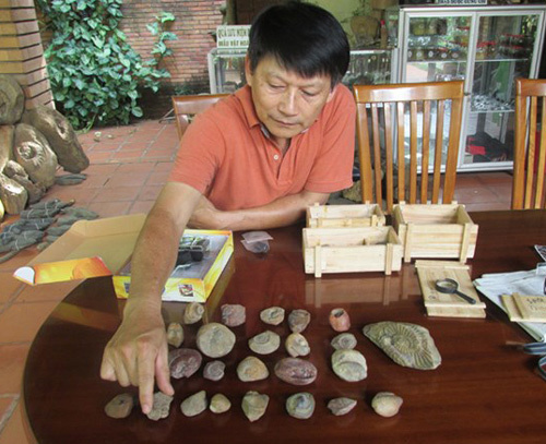 Hiện tại, ngoài chuông đá, ông Thành còn lưu giữ những mẫu vật hóa thạch cổ khác bao gồm các hóa thạch có nguồn gốc thực vật và động vật. (Ảnh: Vietnamnet)