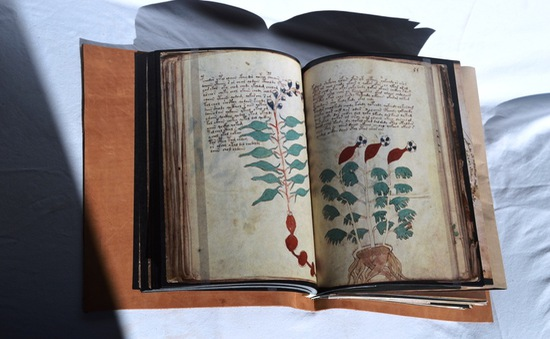 2. Cuốn sách Bản thảo Voynich: Chúng ta sẽ xem xét một trong những cuốn sách bí ẩn nhất mọi thời đại, Bản thảo Voynich. Bản thảo này được cho là có từ đầu thế kỷ XV (1404-1438) ở miền bắc Italy. Nó được phát hiện lần đầu tiên vào năm 1909 bởi một người bán sách cũ tên là Wilfrid Voynich, người được đặt theo tên cuốn sách này. Voynich đã mua cuốn sách vào năm 1912 và bị cuốn hút bởi nội dung của nó.