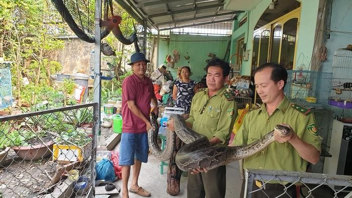 Tuy nhiên, hơn 1 năm trước, trong khi cho ăn, ông Kéo đã bị con trăn vô tình cắn trúng tay, phải tìm đến bác sĩ để thăm khám.